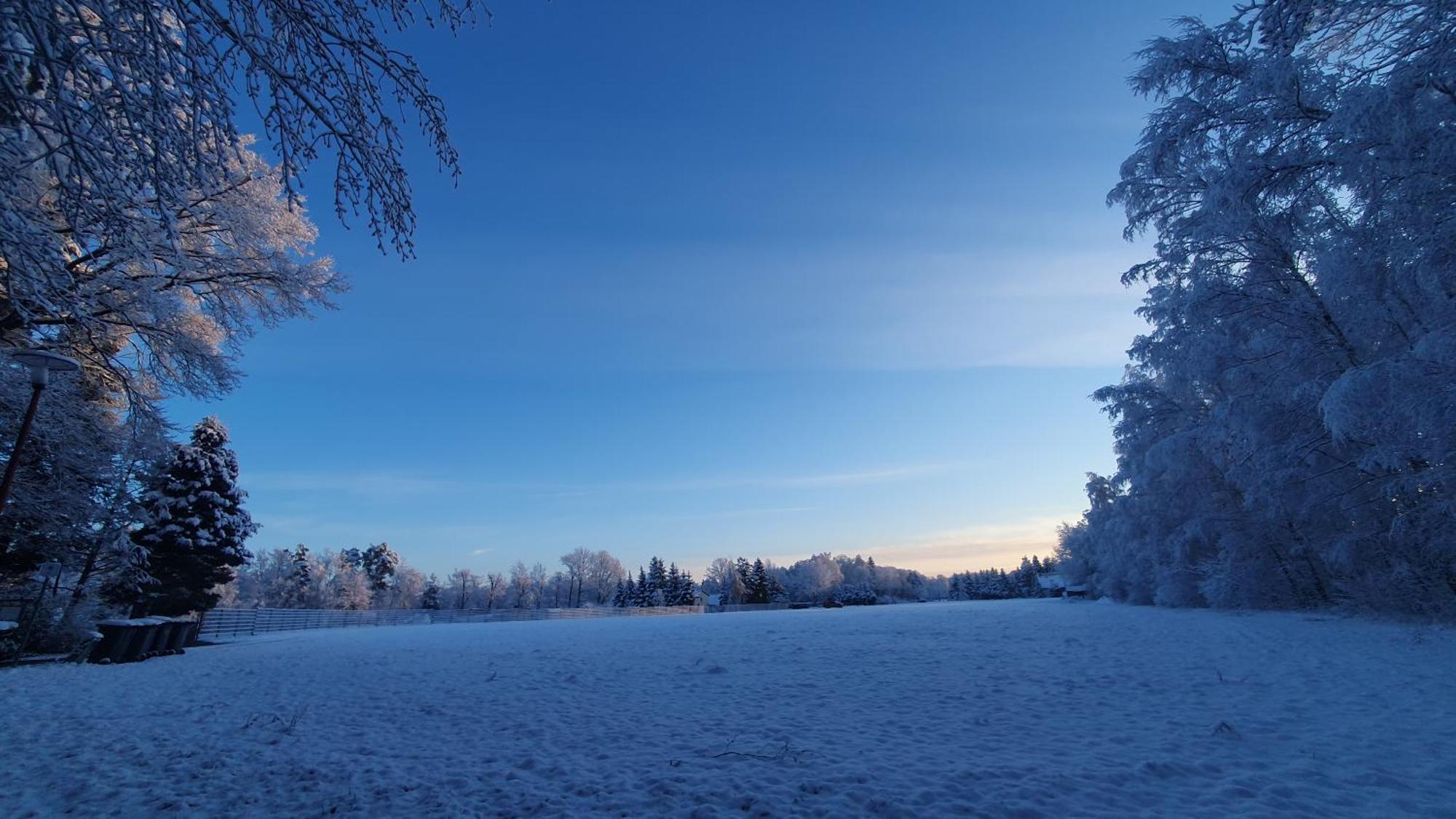 Ferienwohnung Am See Kromlau Exteriér fotografie